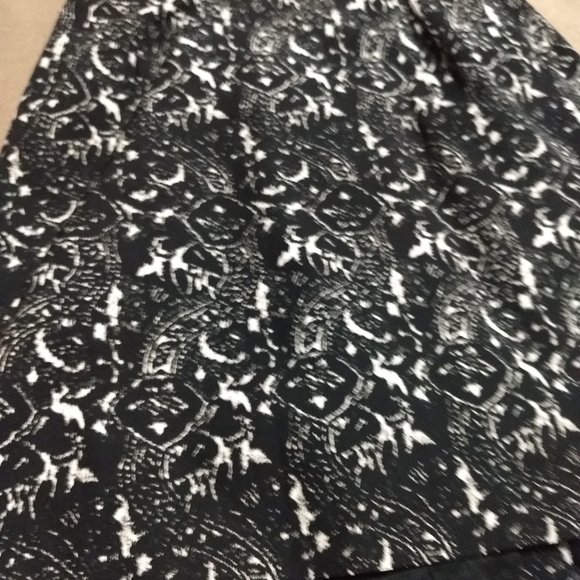 Talbot's Skirt - Picture 1 of 2